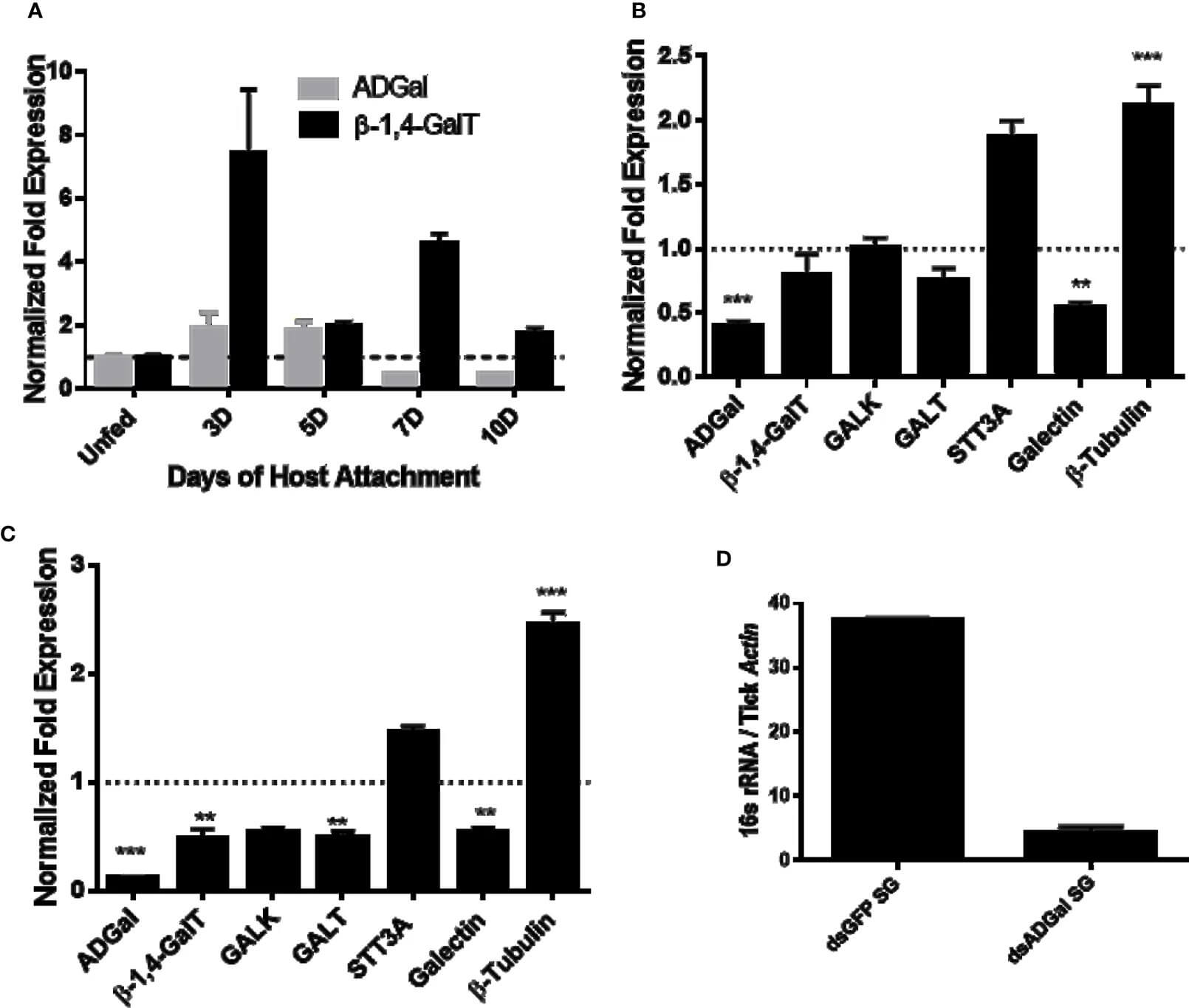 Gene expression profiles including beta-1,4-galactosyltransferase in tick tissues. (OA Literature)