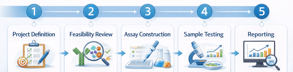 Fig.2 Workflow banner for antibody-lectin sandwich research assay development service. (Creative Biolabs Original)