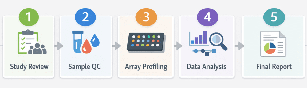 Fig.2Workflow overview for serum anti-glycan antibody profiling service. (Creative Biolabs Original)