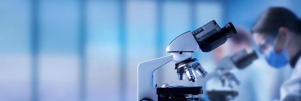 Scientific illustration of a lab research setup. (Creative Biolabs Authorized)