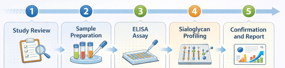 Fig.2 Workflow image for anti-Neu5Gc antibody detection and profiling. (Creative Biolabs Original)