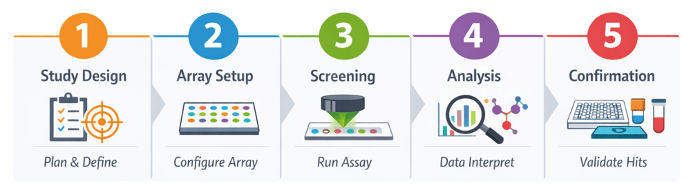 Fig.2 Glycan microarray-based antibody screening workflow. (Creative Biolabs Original)