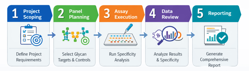 Fig.2 Scientific workflow illustration for specificity profiling service.(Creative Biolabs Original)