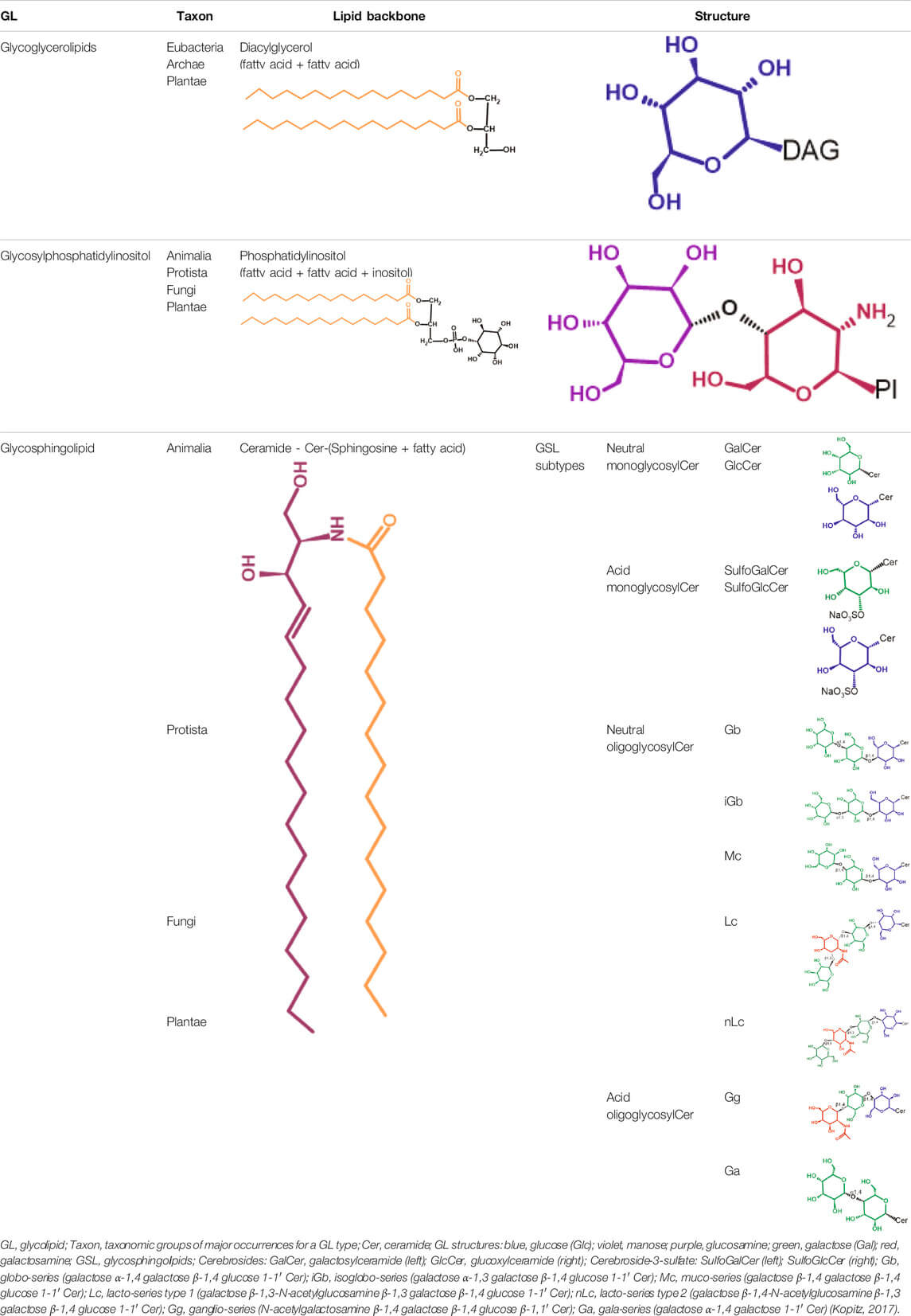 Different glycolipid types with glycoglycerolipids, glycosylphosphatidylinositol, and glycosphingolipids included. (OA Literature) 