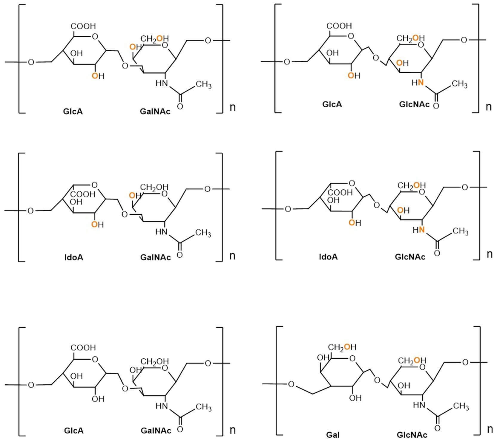 Structures of major glycosaminoglycan classes with sulfation positions. (OA Literature)