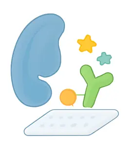 Glycoprotein Microarray analysis showing detailed profiling of N- and O-glycosylation patterns in cell signaling studies. (Creative Biolabs Original)