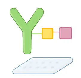 Image of a Glycopeptide Microarray used to study antibody specificity in vaccine development and infection biology. (Creative Biolabs Original)