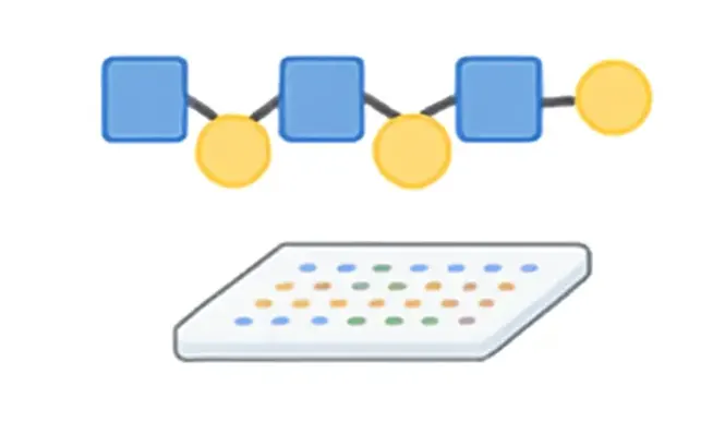 Illustration of complex polysaccharide structures studied using the Polysaccharide Microarray for vaccine development. (Creative Biolabs Original)