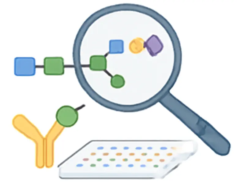 Glycosaminoglycan (GAG) Microarray schematic for profiling GAG interactions and their role as therapeutic targets. (Creative Biolabs Original)