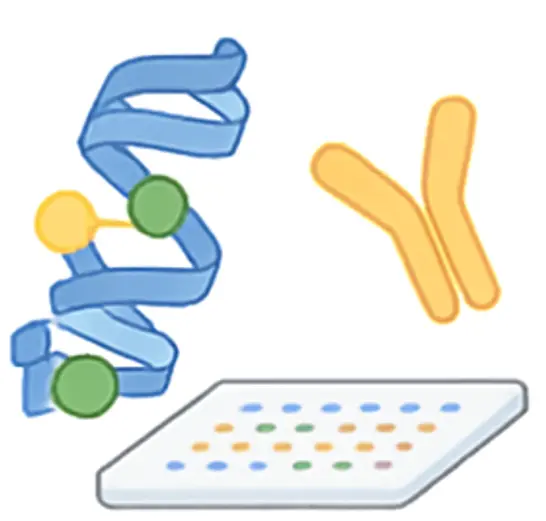 Visual data from the Human Milk Oligosaccharide (HMO) Microarray, showing its impact on infant immunity and gut microbiota. (Creative Biolabs Original)