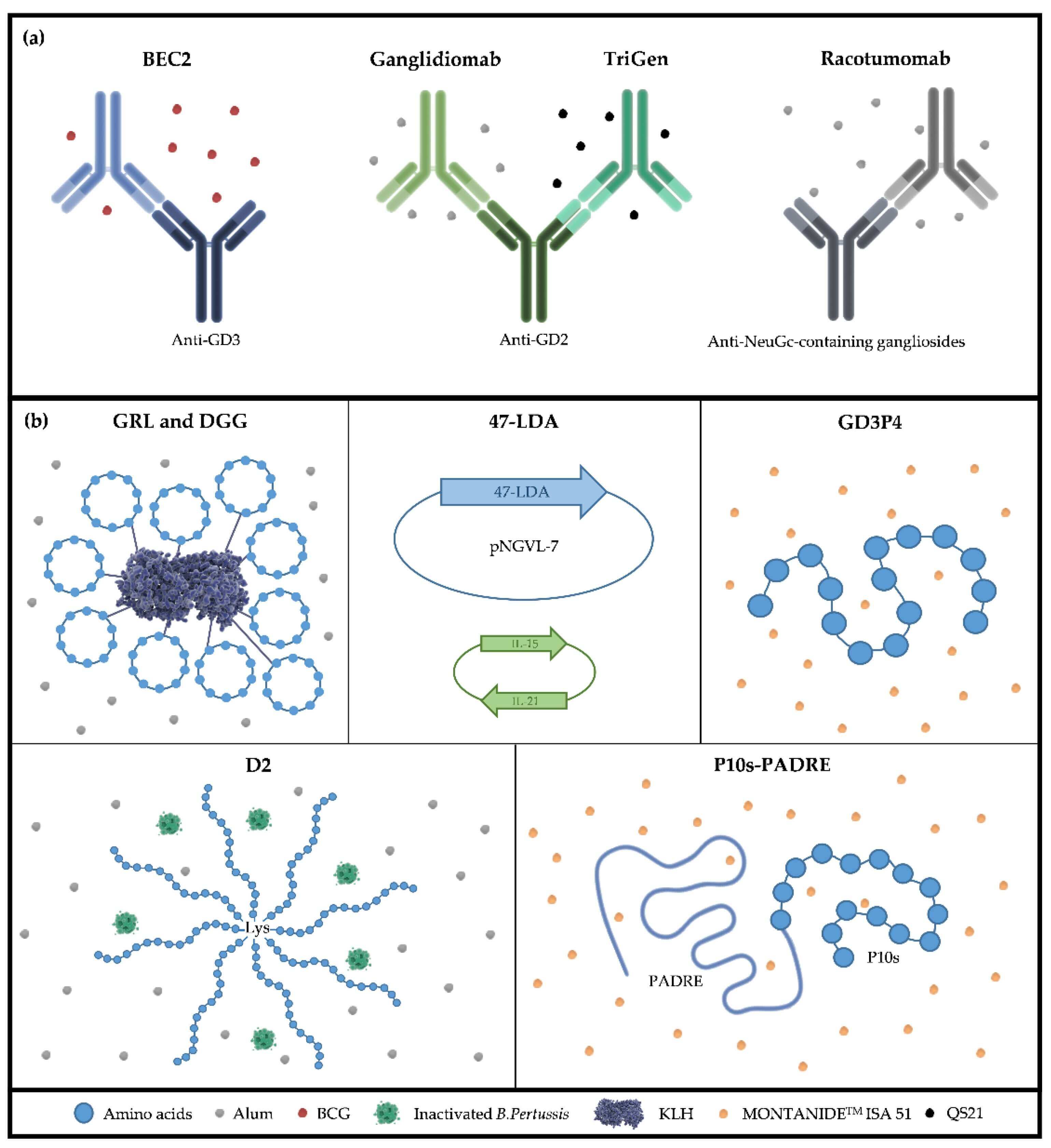 Diagram comparing anti-idiotype antibody and mimetic peptide vaccine strategies for TACAs. (OA Literature) 