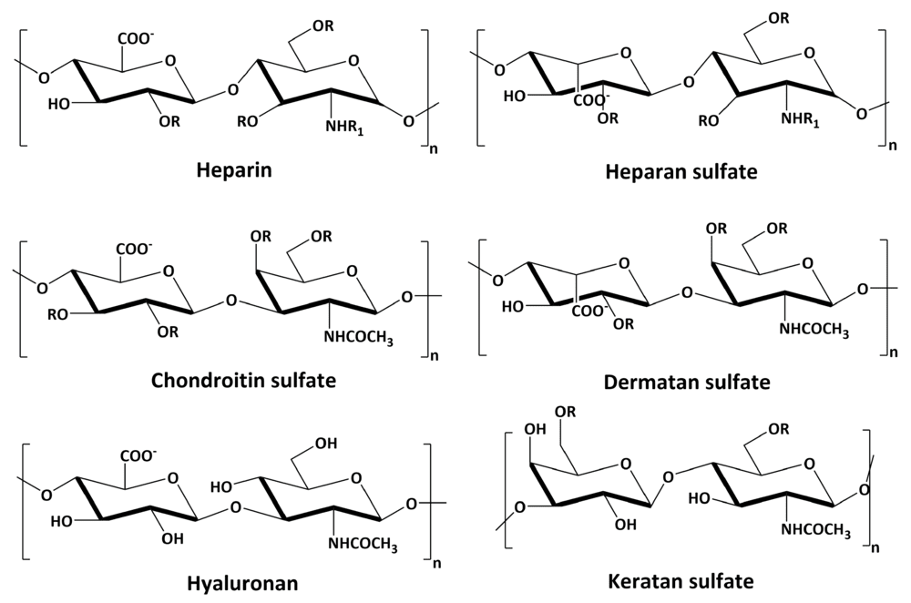 Fig.1 Structure of common glycosaminoglycans including Hyaluronic Acid, Chondroitin Sulfate, and Heparan Sulfate.