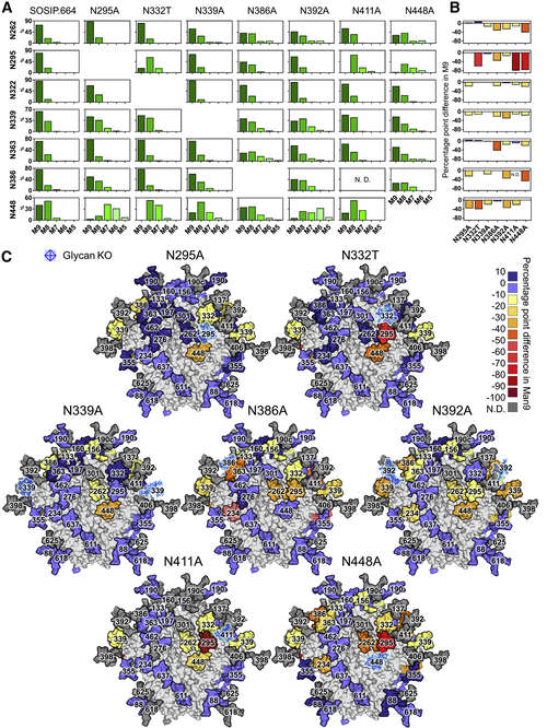 Fig.1 Heatmap visualization of HIV-1 envelope glycan shielding density revealing conserved neutralizing epitopes. (OA Literature)