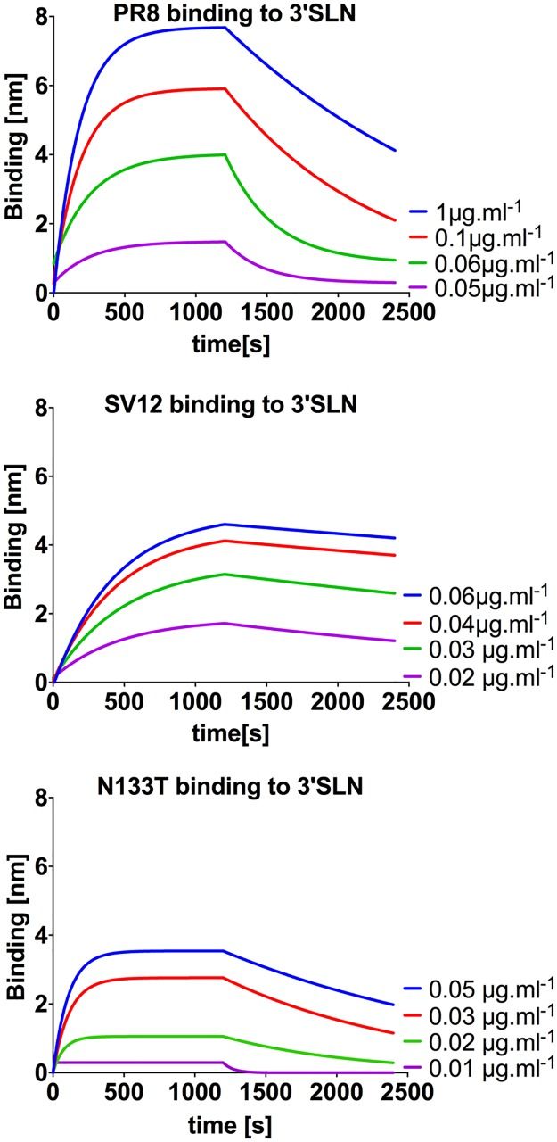 Fig.1 Bio-layer interferometry (BLI) sensorgrams showing the restoration of sialic acid receptor binding avidity in Influenza A virus HA glycosylation mutants compared to wild-type.（OA Literature）