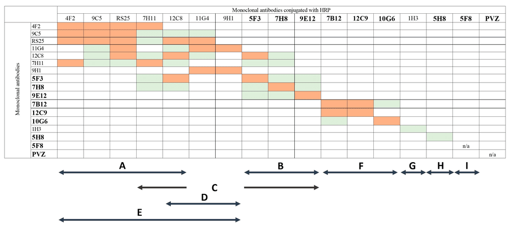 Heatmap showing competitive inhibition percentages between 16 RSV monoclonal antibodies to identify distinct and overlapping antigenic sites. (OA Literature)