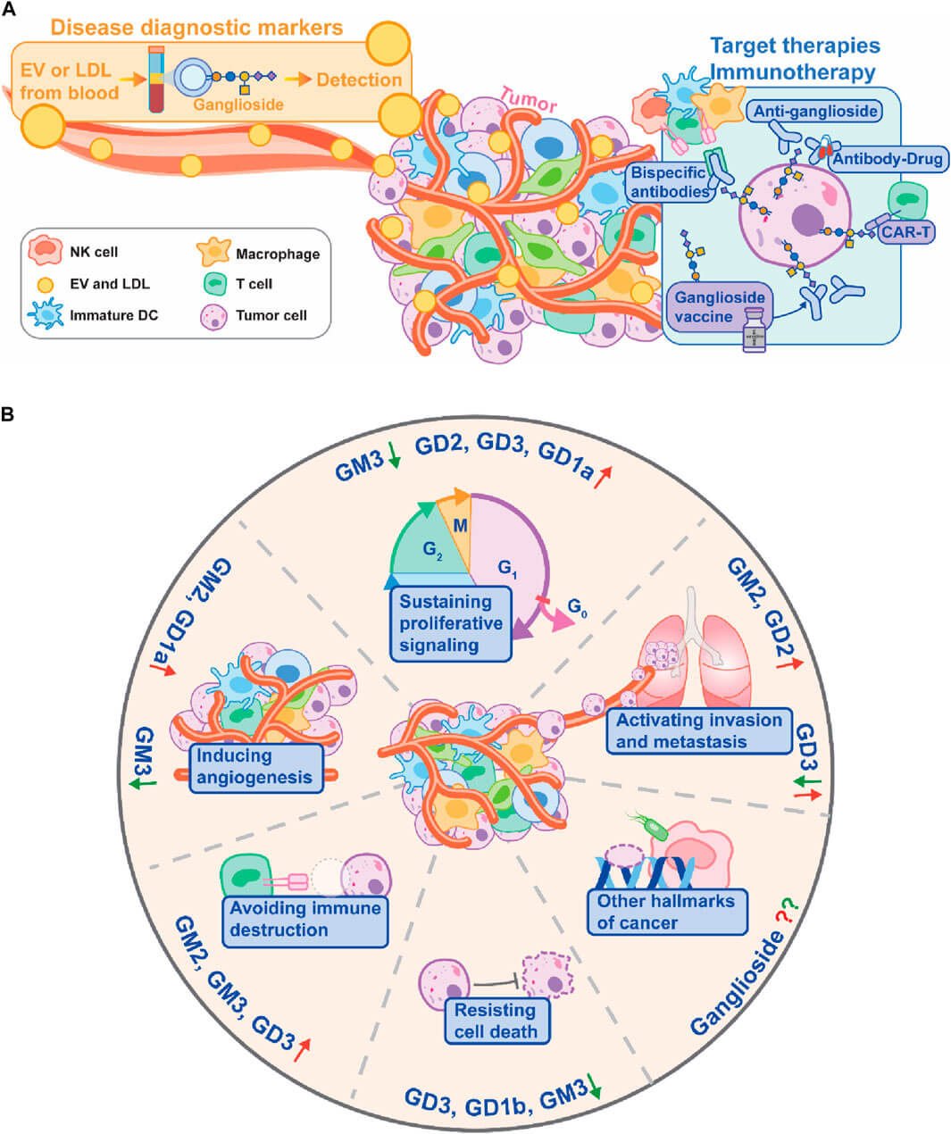 Gangliosides in cancer: biological roles and therapeutic applications. (OA Literature) 