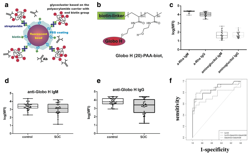 Fig.1 Schematic diagram of anti-glycan antibody binding to sugar clusters. (Pochechueva, et al., 2017)
