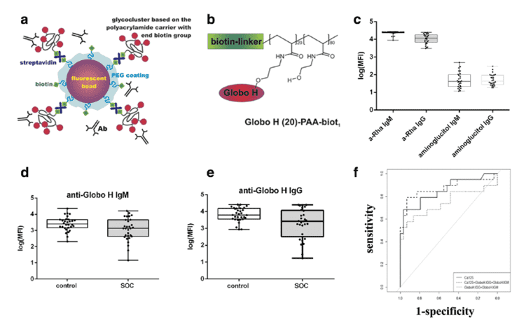 Plasma-derived anti-glycan antibodies of IgG and IgM isotype bind to polymeric presented Globo H glyco-clusters differentiating healthy controls from ovarian cancer comparable to CA125 (Pochechueva, 2017). 