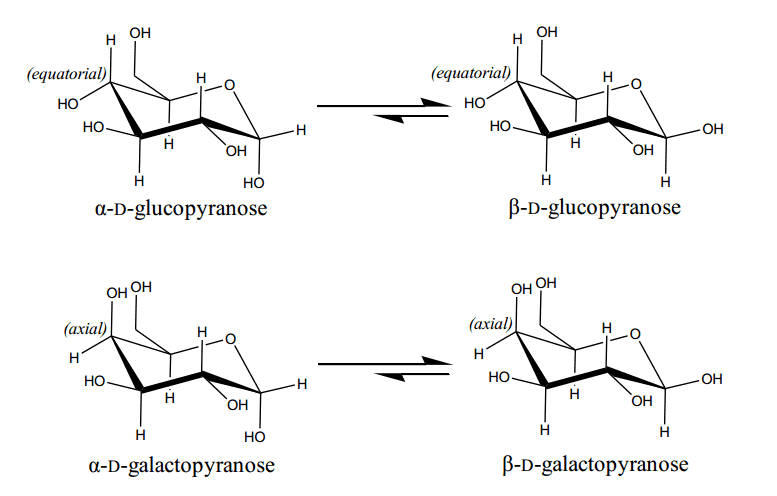  Anomeric equilibrium in solution of the hexopyranoses Glc and Gal both as D-enatiomer.