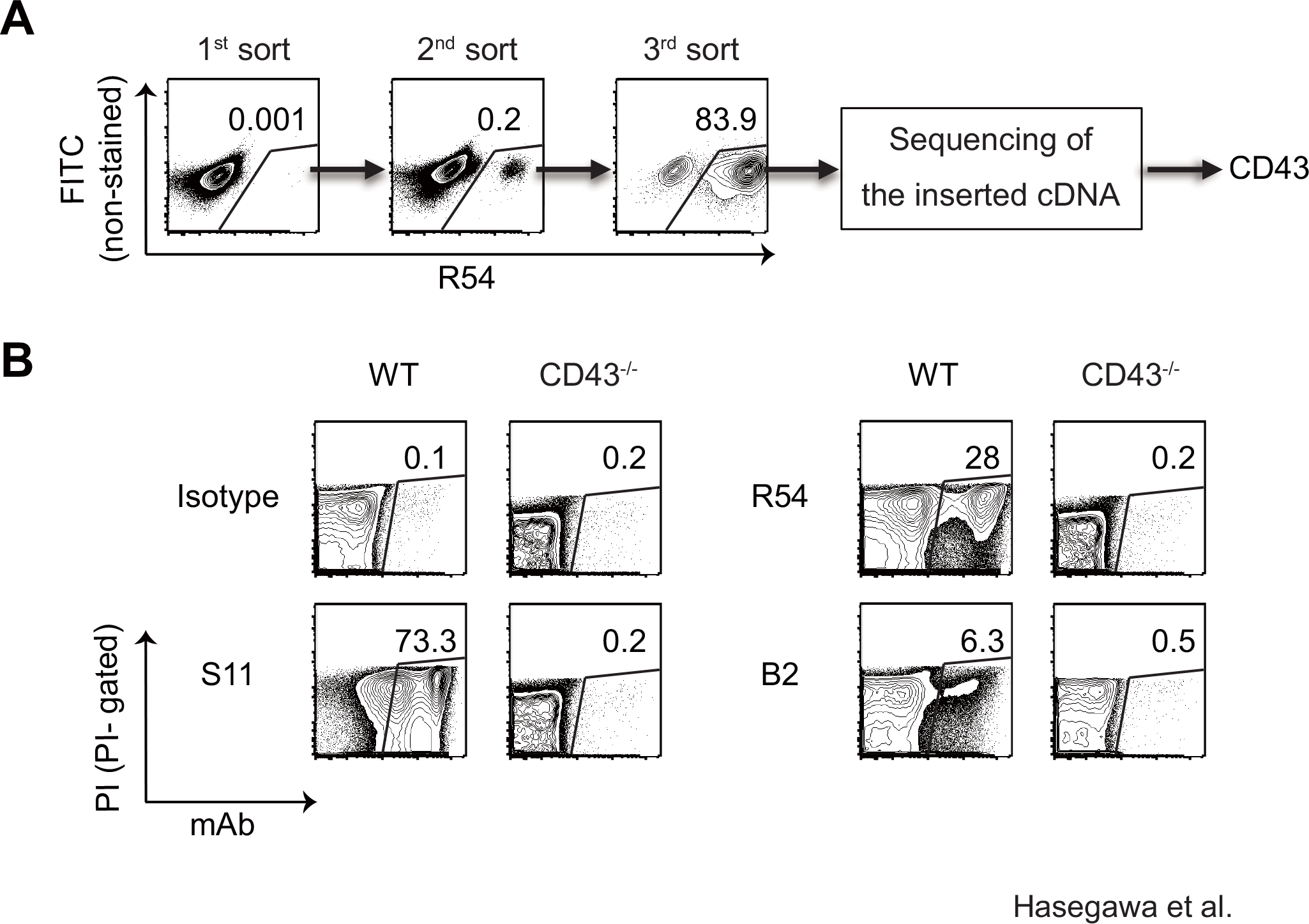 Fig.2 Specific recognition of CD43 by R54 and B2 mAbs. (OA Literature)