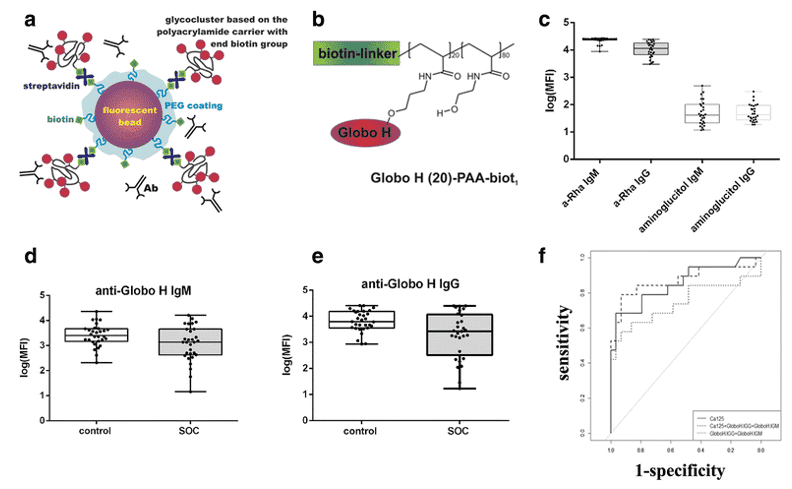 Plasma-derived anti-glycan antibodies of IgG and IgM isotype bind to polymeric presented Globo H glyco-clusters differentiating healthy controls from ovarian cancer comparable to CA125.