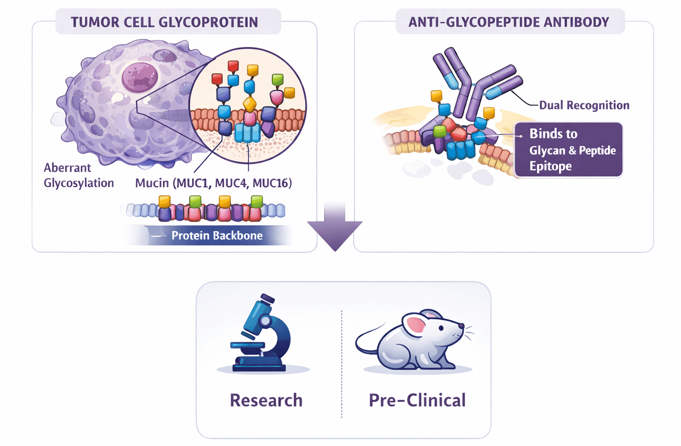 Fig.1 Schematic representation of the anti-glycopeptide antibodies. (Creative Biolabs Original)