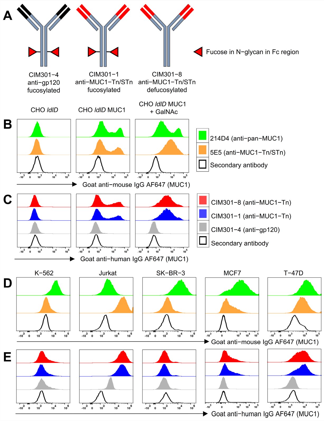 Fig.2 Flow cytometry histograms showing specific binding of humanized anti-MUC1 antibodies to Jurkat and T-47D tumor cells. (OA Literature)