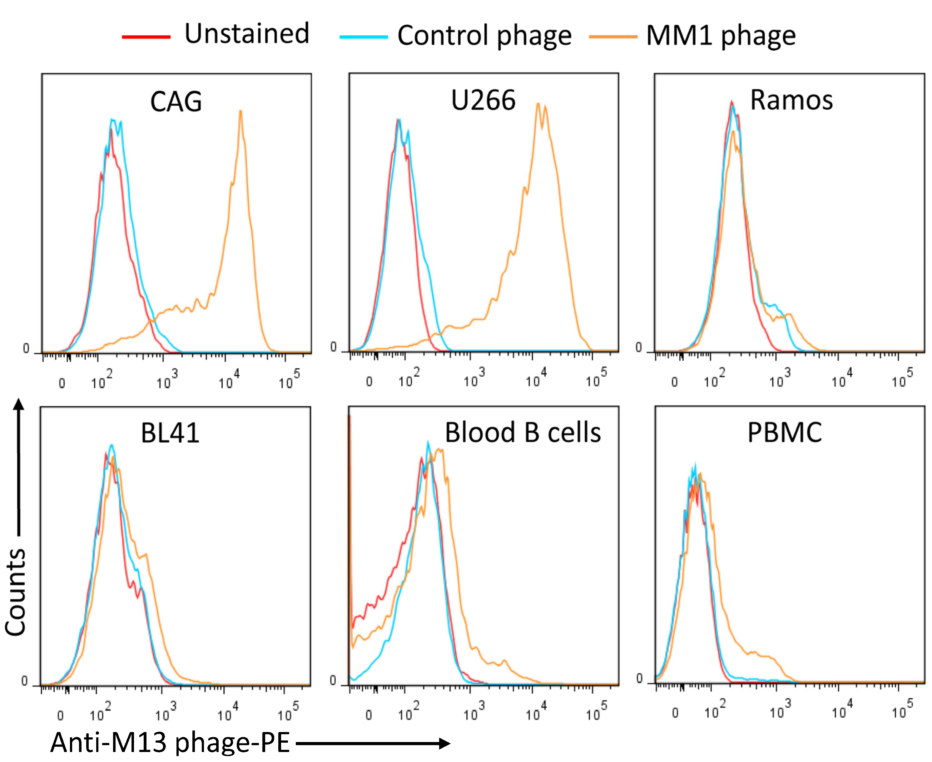 Fig.1 Flow cytometry analysis of anti-HS antibody binding specificity to Multiple Myeloma cells. (OA Literature)