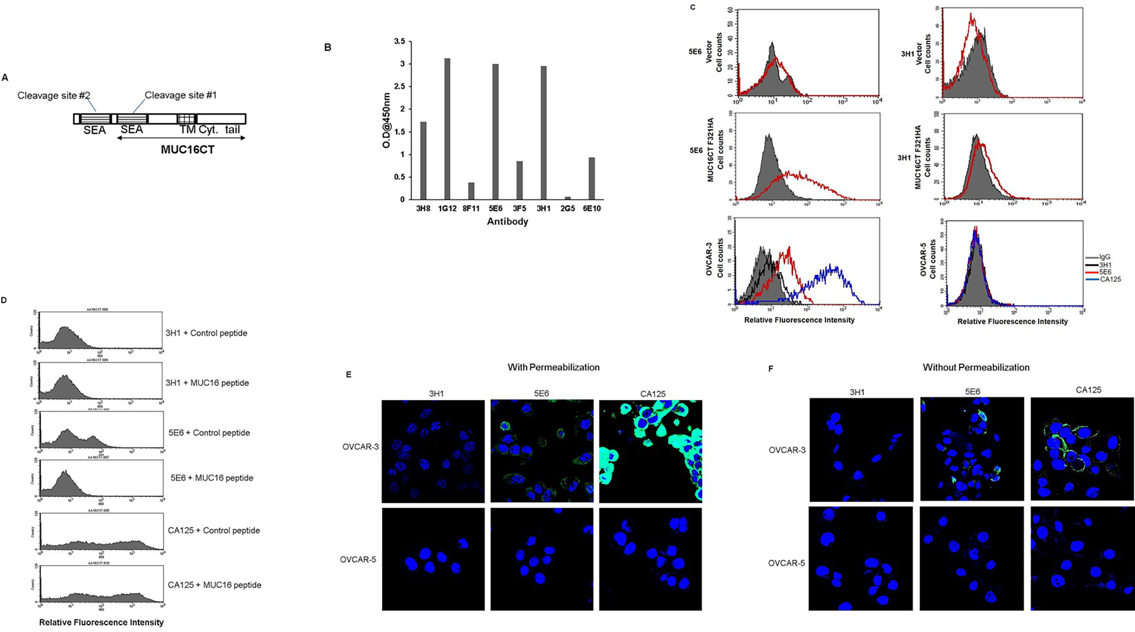 Fig.1 Generation and characterization of monoclonal antibodies (mAbs) to MUC16 C-terminal (CT) domain. (OA Literature)