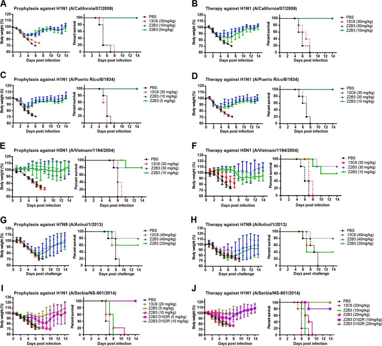 Fig.1 Prophylactic efficacy of engineered anti-neuraminidase antibody Z2B3-D102R against drifted H1N1 influenza virus in mice compared to wild-type. (OA Literature)