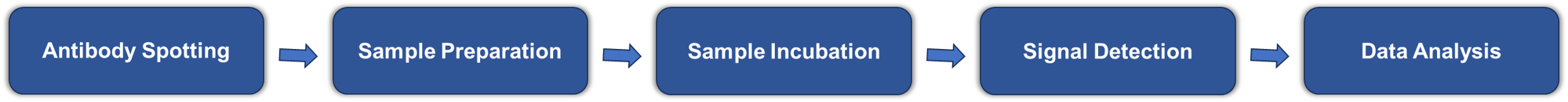Fig.2 Step-by-Step Process of Antibody Microarray Operation. (Creative Biolabs Original)