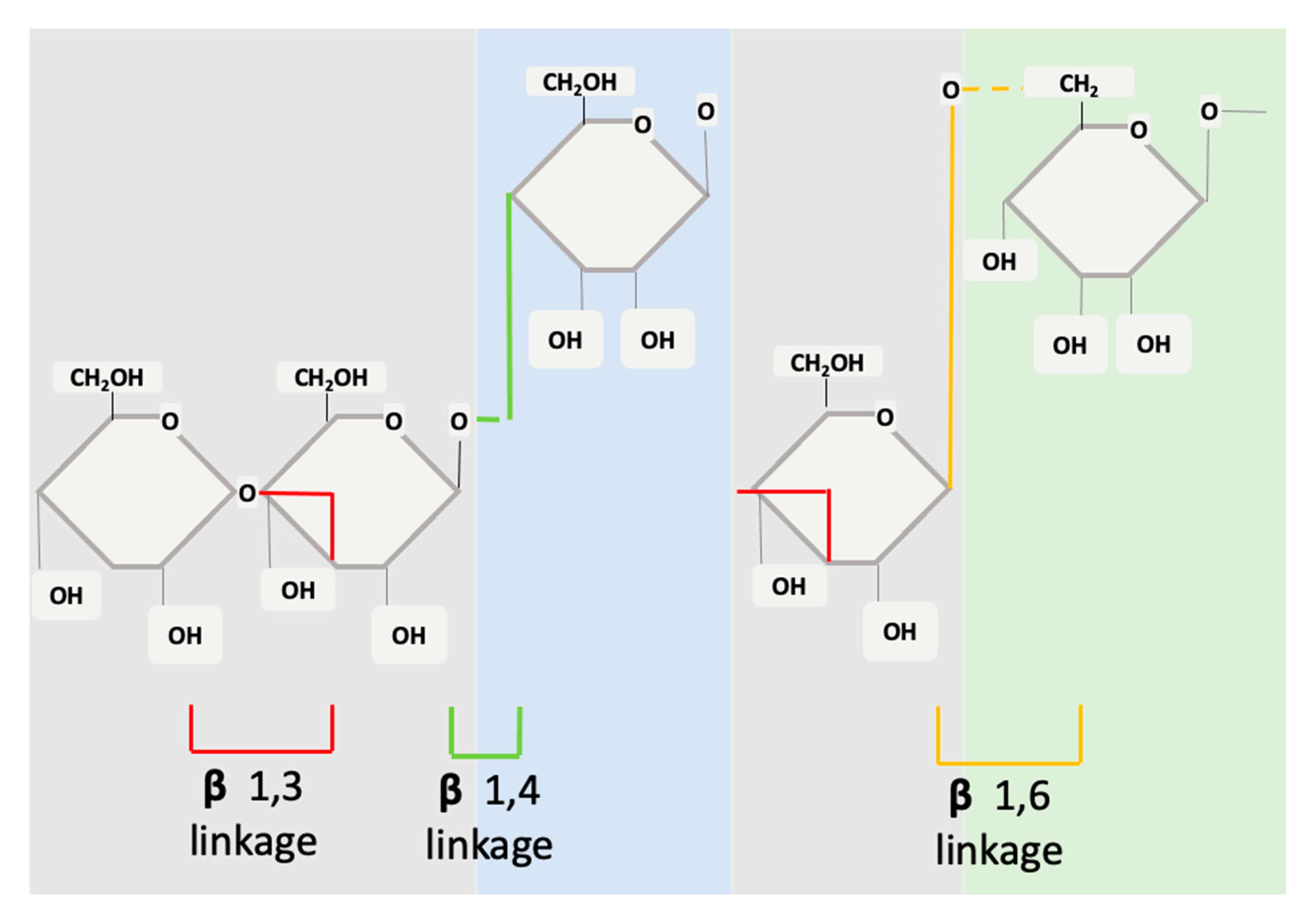Fig.1 The diagram compares β-1,3/1,4 cereal and β-1,3/1,6 non-cereal glucan structures. (OA Literature)