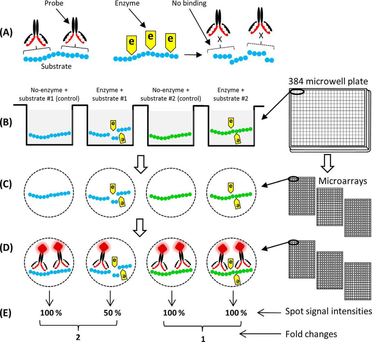Fig.2 Schematic overview of the polysaccharide microarray and related technique. (OA Literature)