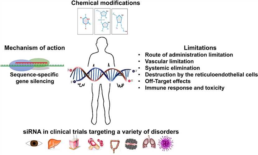 siRNA: mechanism of action, challenges, and therapeutic approaches.
