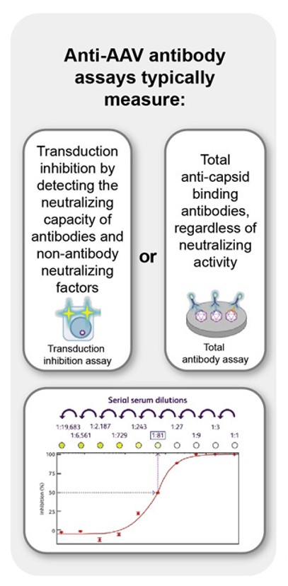 Fig. 1 Detection of anti-AAV antibodies. (Schulz, et al., 2023)