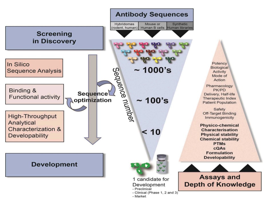 Fig. 1 Workflow for antibody discovery. (Bailly, et al., 2020)