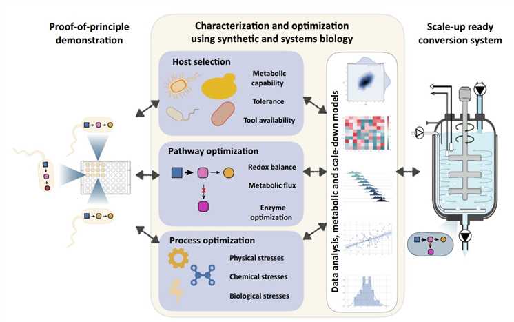 Fig. 1 Potential optimization flow for bacterial scale production. (Wehrs, et al., 2019)