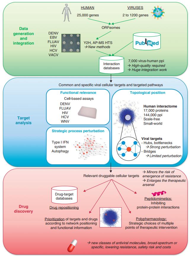 Fig.1 Overview of the innovative strategy from virus–host interaction data generation to the rational discovery of new antiviral drug candidates. (De Chassey, et al., 2019)