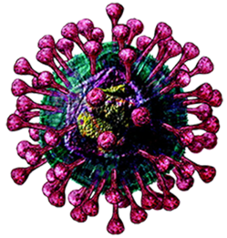 Anti-Virus Biomolecular Discovery- Creative Biolabs