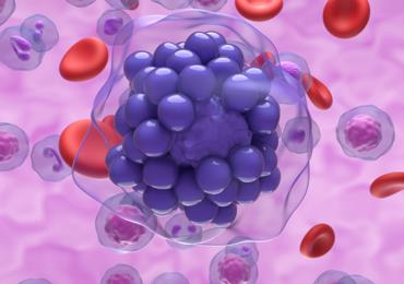 Fig.1 Engineering B Cell Types . (Creative Biolabs Authorized)