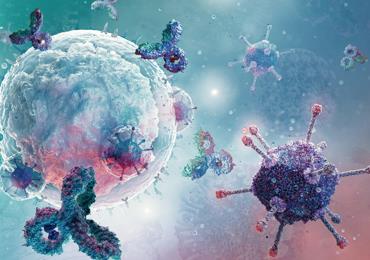 Fig.4 B Cell Engineering Services for Immunotherapy. (Creative Biolabs Authorized)