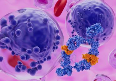 Fig.5 Engineered B Cells Assessment Services. (Creative Biolabs Authorized)