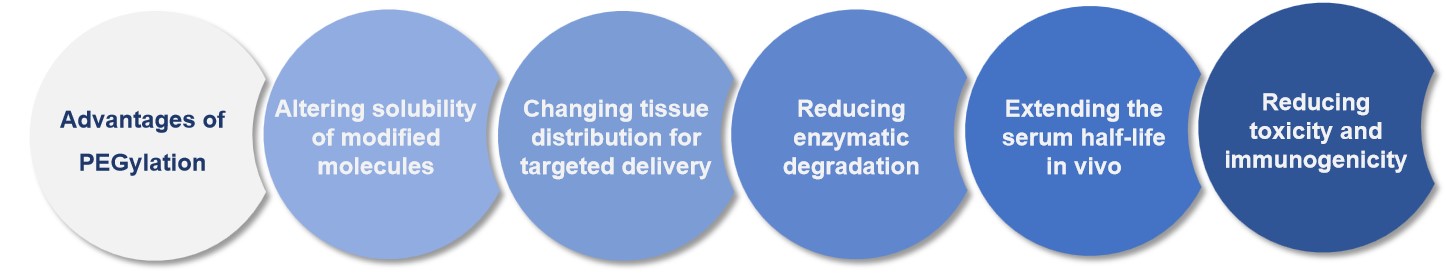 Advantages of PEGylation. (Creative Biolabs Original)