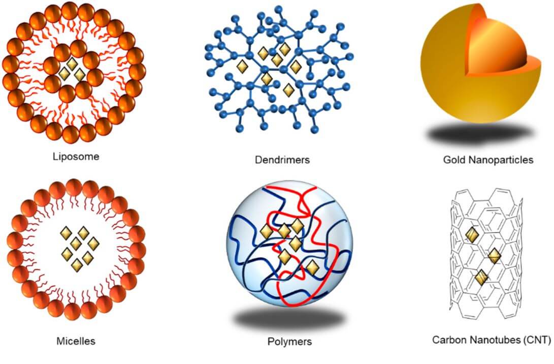 Figure 1: Varieties of Nanoparticles for Drug and Protein Delivery into Cells. (OA Literature)