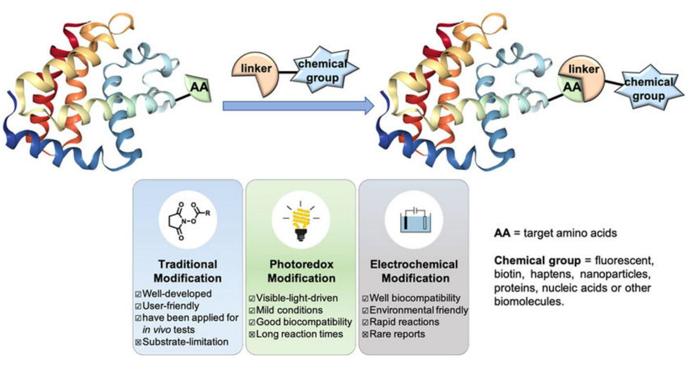 Figure 2: Contemporary Bioconjugation Techniques. (OA Literature)