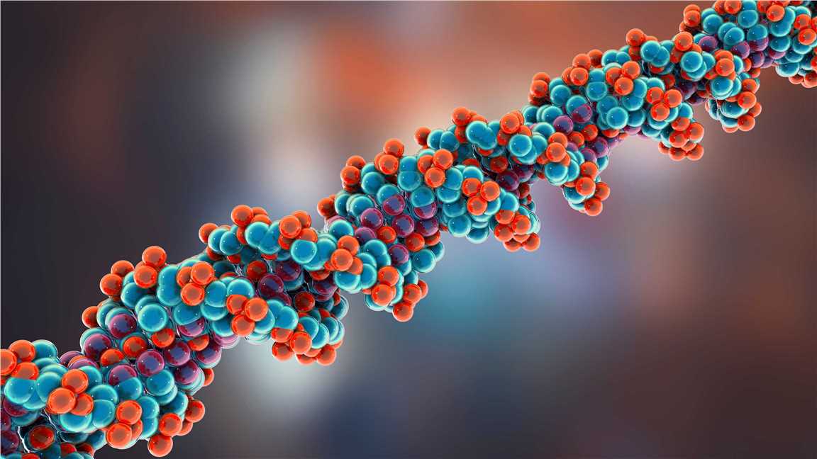 Peptide Composition and Structure. (Creative Biolabs Authorized)
