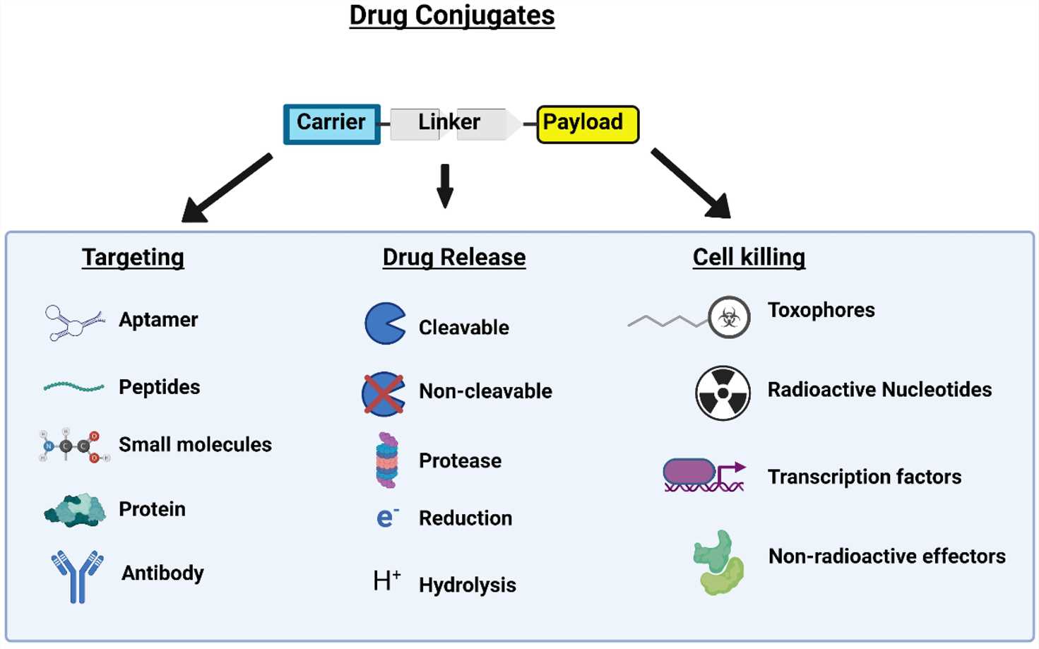 Figure 1: Drug conjugates consist of three components: the carrier, the linker, and the payload. (OA Literature)