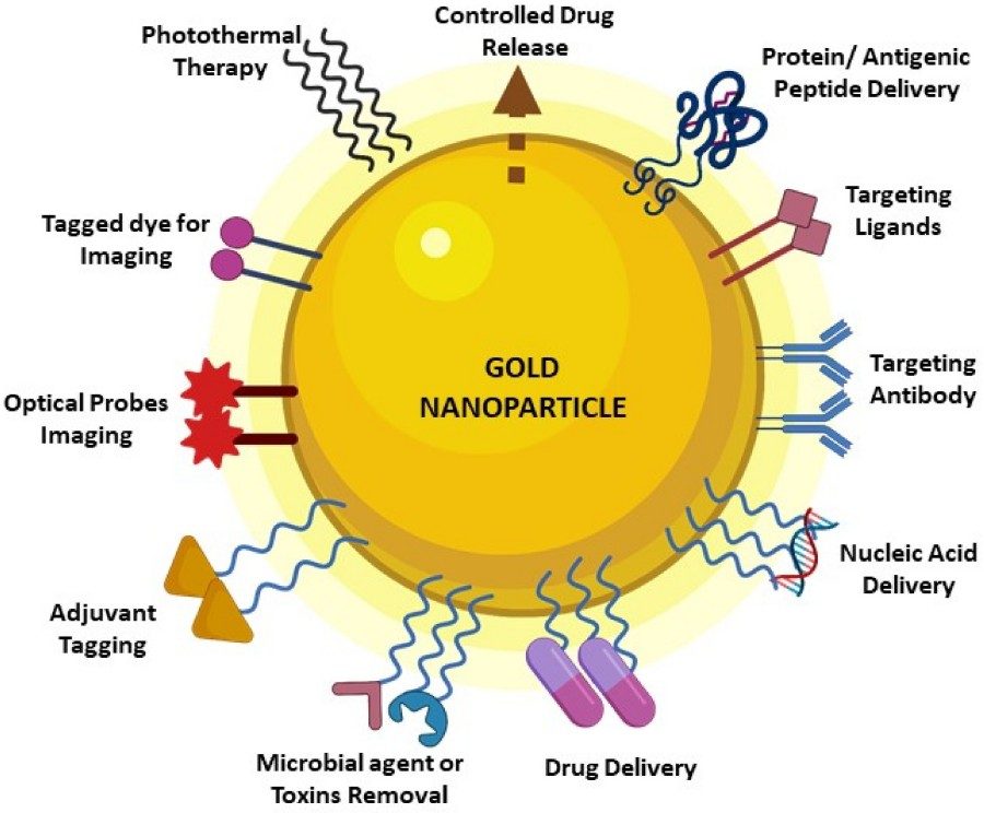 Figure 1: Schematic Illustration of Gold Nanoparticles and Their Potential Applications in the Biomedical Field. (OA Literature)