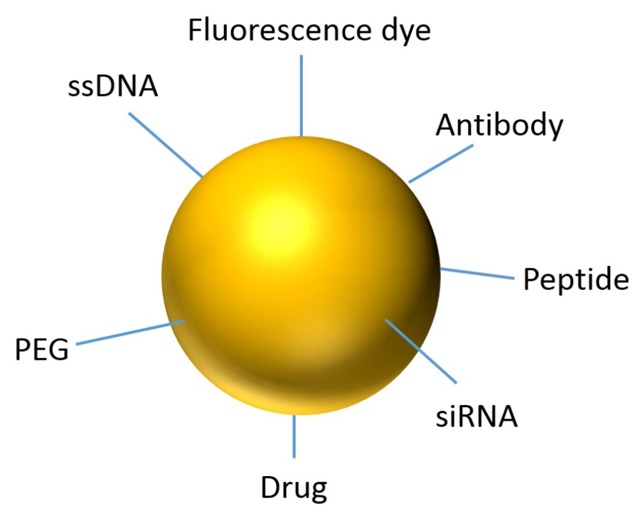 Figure 1: Depiction of an Au NP for Theranostic Applications. (OA Literature)