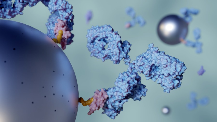 Ideal Nanoparticle-Antibody Conjugation Services